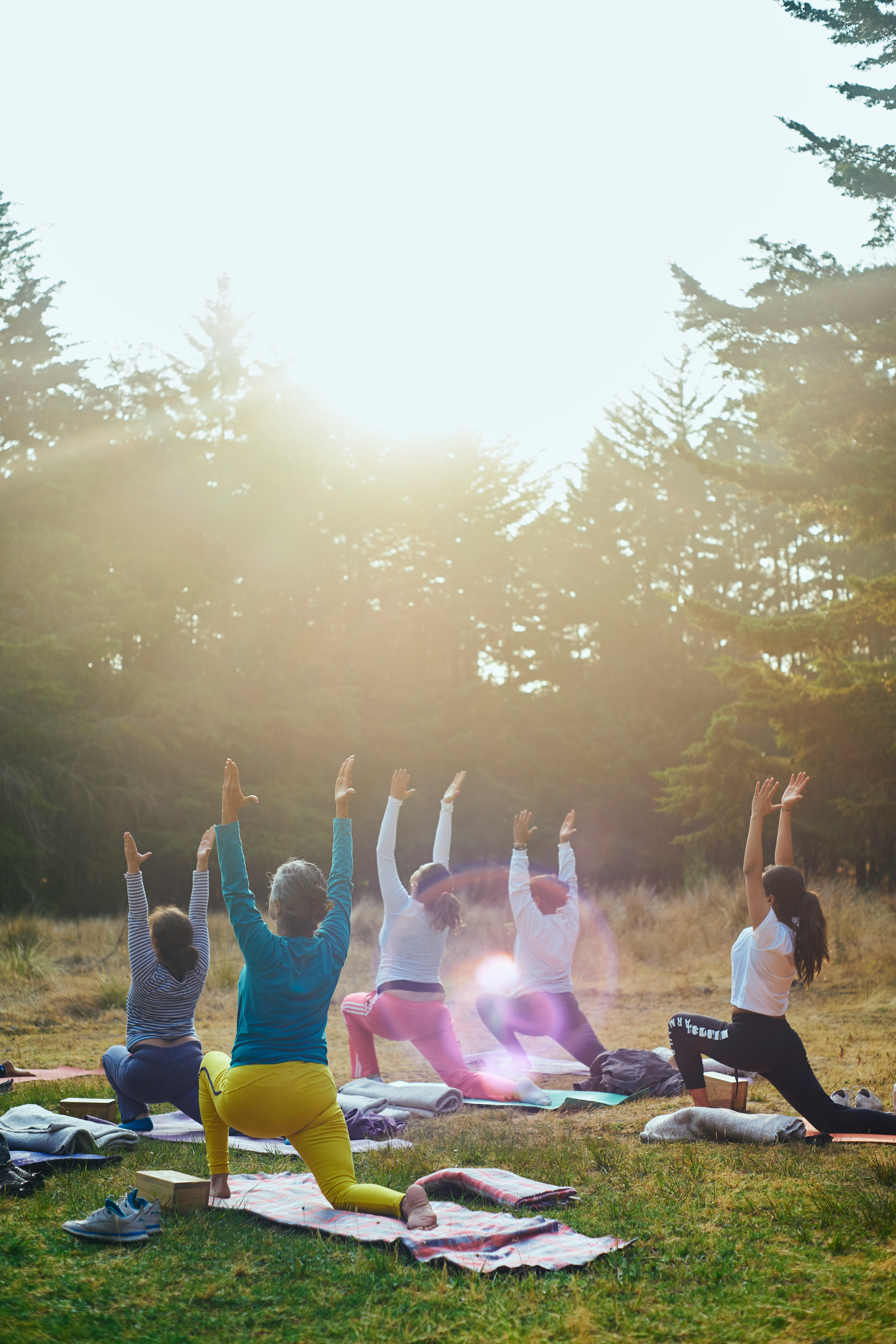 Yoga in the forest — move well, live well